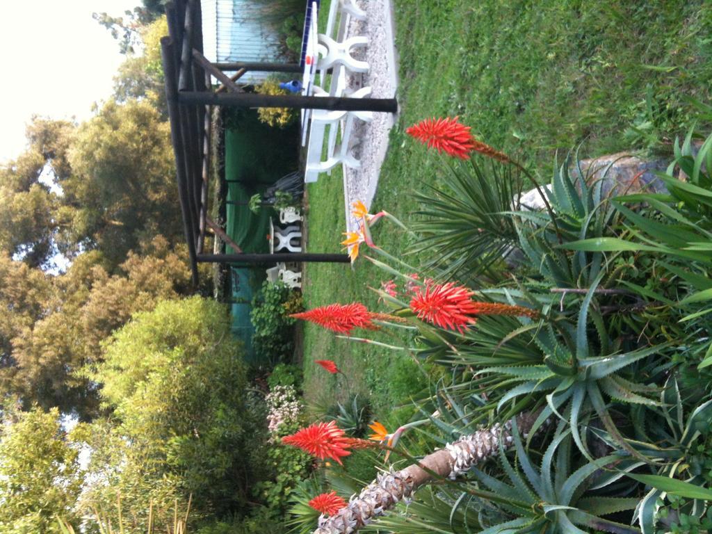 Hotel Alentejo Pig dog surf camp Palhota Exterior foto
