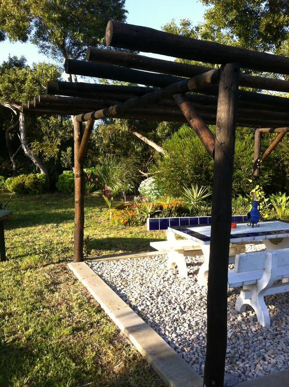 Hotel Alentejo Pig dog surf camp Palhota Exterior foto