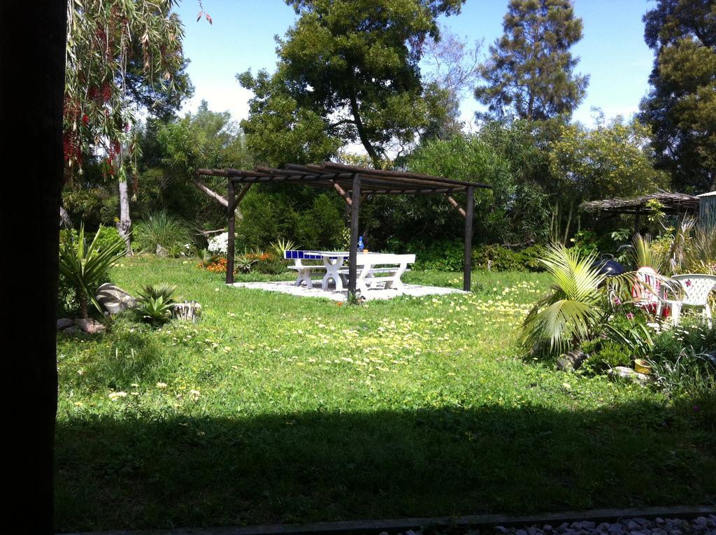 Hotel Alentejo Pig dog surf camp Palhota Exterior foto