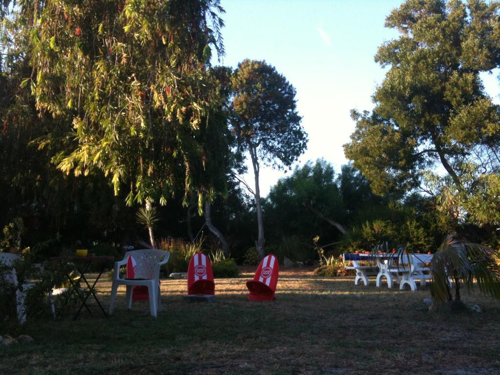 Hotel Alentejo Pig dog surf camp Palhota Exterior foto