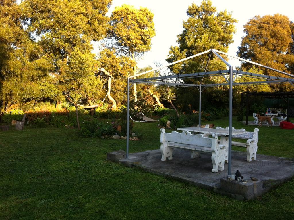 Hotel Alentejo Pig dog surf camp Palhota Exterior foto